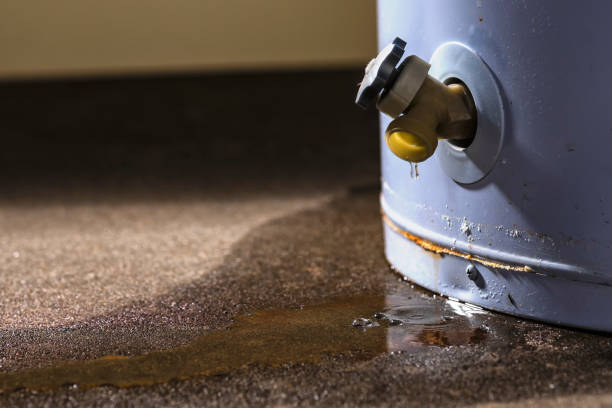 Trusted Mount Sterling, KY Water damage restoration Experts