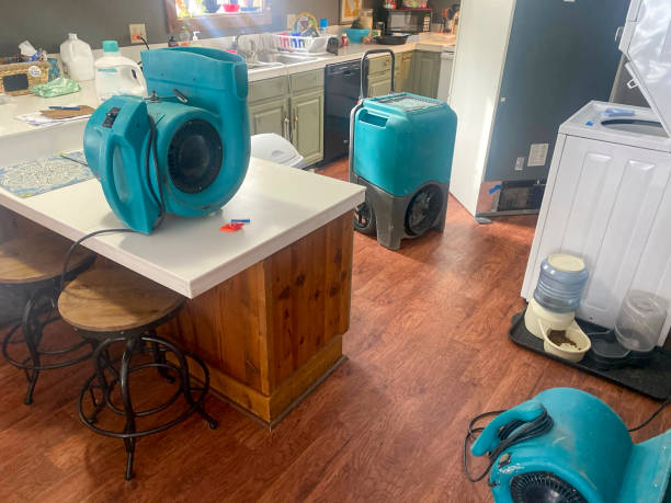 Best Water damage restoration near me  in Mount Sterling, KY