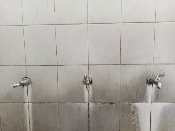 Best Emergency water damage restoration  in Mount Sterling, KY