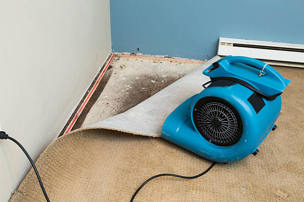 Best Water damage repair service  in Mount Sterling, KY